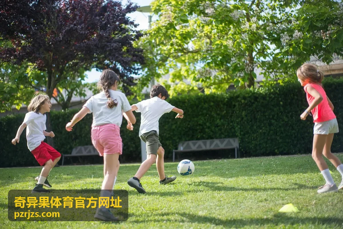 奇异果体育官方网址账户安全帮助说明配图