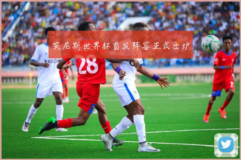 突尼斯世界杯首发阵容正式出炉