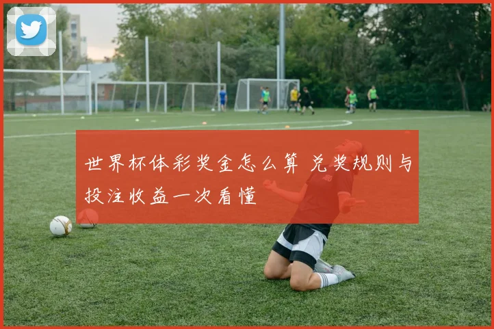 世界杯体彩奖金怎么算 兑奖规则与投注收益一次看懂