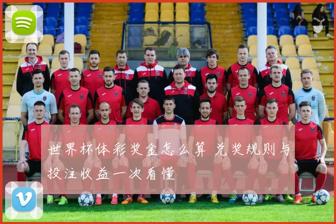 世界杯体彩奖金怎么算 兑奖规则与投注收益一次看懂