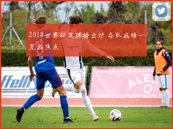 2018世界杯奖牌榜出炉 各队成绩一览成焦点