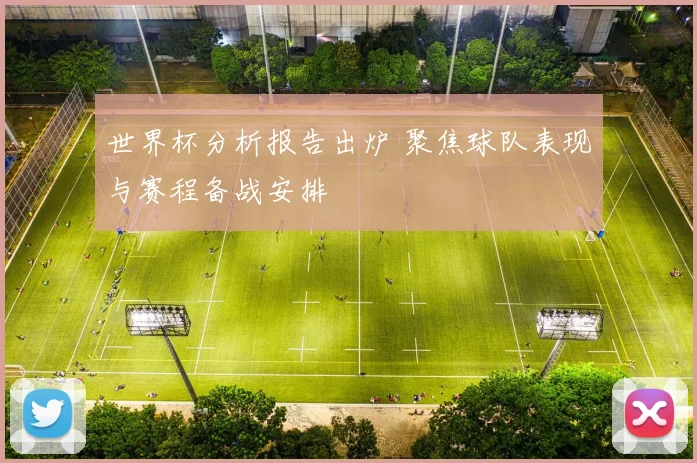世界杯分析报告出炉 聚焦球队表现与赛程备战安排