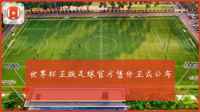 世界杯正版足球官方售价正式公布